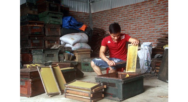 9x làm giàu nhờ nuôi ong mật